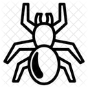 Spider  Icon