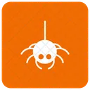 Spider Insect Bug Icon