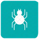 Spider Bug Insect Icon