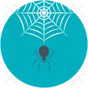Spider Evil Cobweb Icon