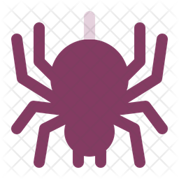 Spider Icon
