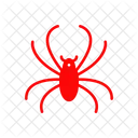 Arachnid Spider Insect Icon
