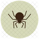 Spider Animal Icon