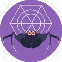 Spider Insect Creature Icon