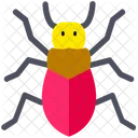 Halloween Spider Bug Icon