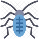 Halloween Spider Bug Icon