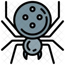 Spider  Icon