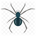 Spider Insect Arachnid Icon