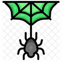 Spider Web Halloween Icon