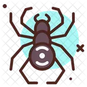 Spider Insect Fly Icon