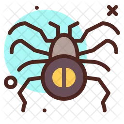 Spider  Icon