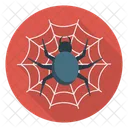 Spider Cobweb Scary Icon