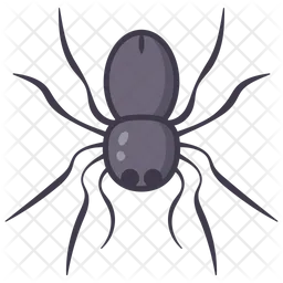 Spider  Icon