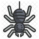 Spider  Icon