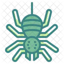 Spider Spooky Scary Icon