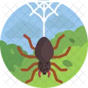 Nature Spider Spider Net Icon