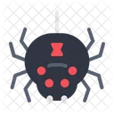Spider Web Nature Icon