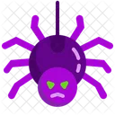 Spider Tarantula Wildlife Icon