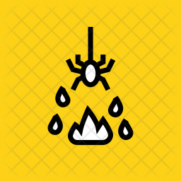 Spider Icon
