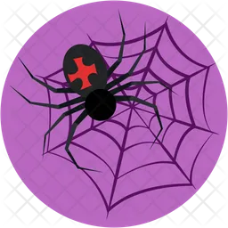 Spider  Icon