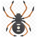 Spider  アイコン