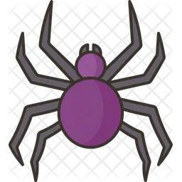 Spider  Icon