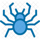 Spider  Icon