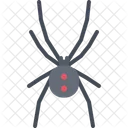 Spider  Symbol