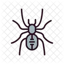 Spider Arachnid Poisonous Spider Icon