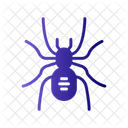 Spider Arachnid Poisonous Spider Icon