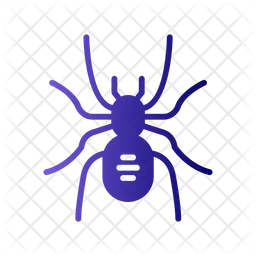 Spider  Icon