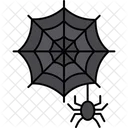 Spider  Icon