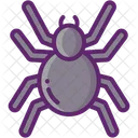 Spider Insect Scary Icon