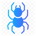Spider Animals Insect Icon