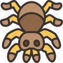 Spider Tarantula Arachnid Icon