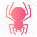 Spider Insects Animals Icon