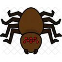 Spider Animal Araneae Icon