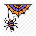 Spider Bug Scary Icon