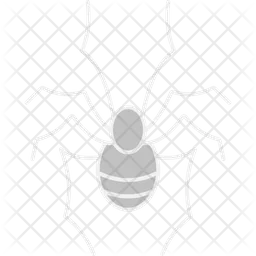 Spider  Icon