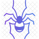 Spider Halloween Insect Icon