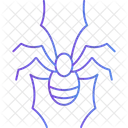 Spider Halloween Insect Icon