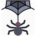 Spider Cobweb  Icon