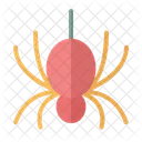 Halloween Spider Web Symbol
