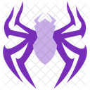 Spider Arachnid Web Icon