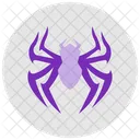 Spider Arachnid Web Icon