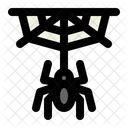 Spider Cobweb Spider Web Icon