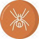 Spider Icon