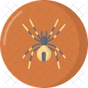 Spider Icon