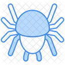 Spider Icon