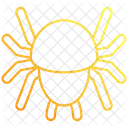 Spider Halloween Insect Icon